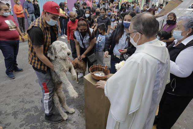 Mexico, believers have their pets blessed on St. Anthonys Day in Coyoacan