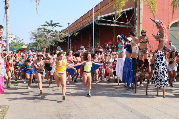 Brazil, Street Carnival in Rio de Janeiro