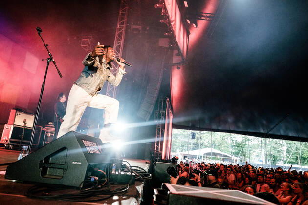 Roskilde Festival - Black Pumas Concert