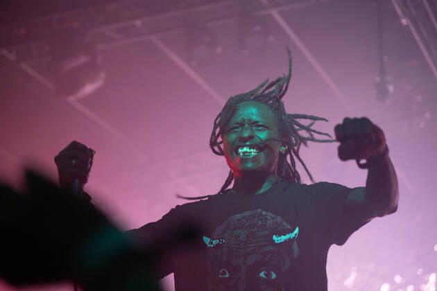 Roskilde Festival, Duma Concert