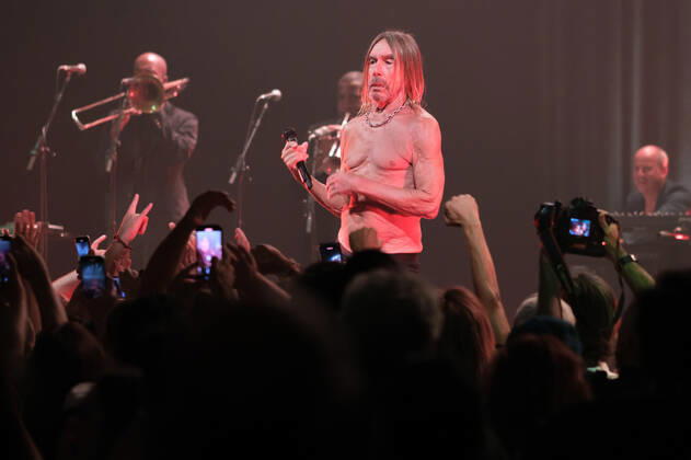 Iggy Pop Concert in Madrid