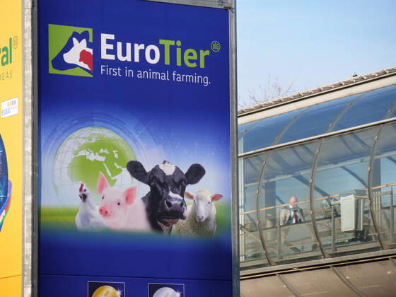 Hannover, EuroTier 2022