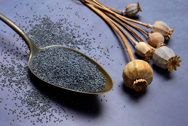 IMAGO Creative, Food, Poppy seeds