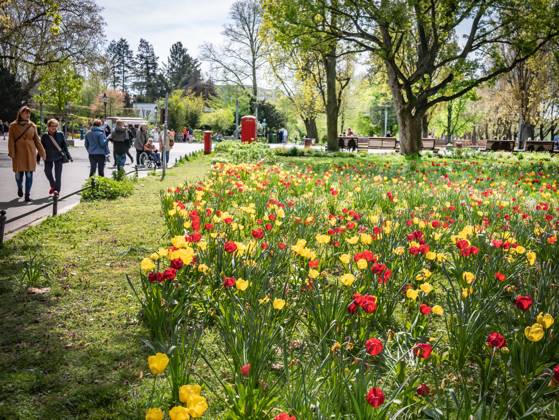 Berlin, Spring at Lake Tegel