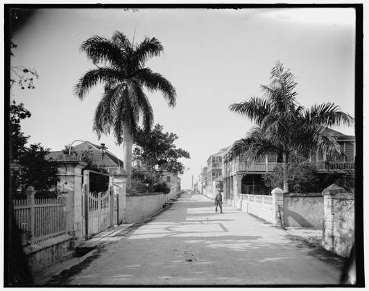 IMAGO Detroit Publishing Company Archive, William Henry Jackson, Bahamas 1900–1905