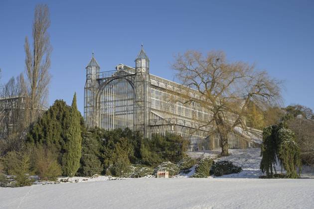 Berlin, Mediterranean House in the Botanical Garden before closure - Archive photos