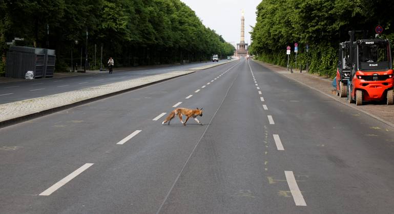 Berlin, Straße des 17. Juni closed for 3 months due to European Football Championship, construction of the fan mile