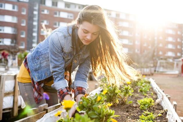 IMAGO Creative, Lifestyle, Urban Gardening