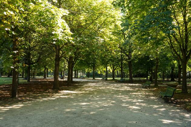 Berlin: Young refugees prostitute themselves in Tiergarten