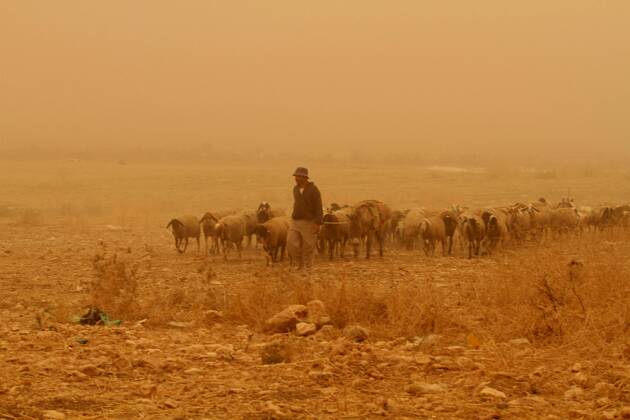 Sandstorm over Israel