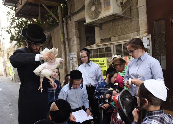 Israel: Kapparot on the eve of Yom Kippur in Jerusalem