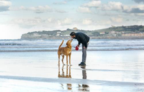 IMAGO Creative, Lifestyle, Spaziergang mit Hund