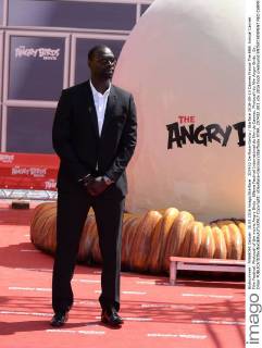 69th Cannes Film Festival: Photocall Angry Birds