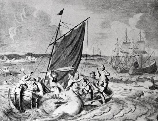 IMAGO International History, Arctic Expeditions, Willem Barents, Search for the Northeast Passage 1594-1597
