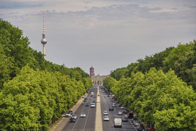 Tree law, Berlin wants to plant trees for several billion euros, archive images