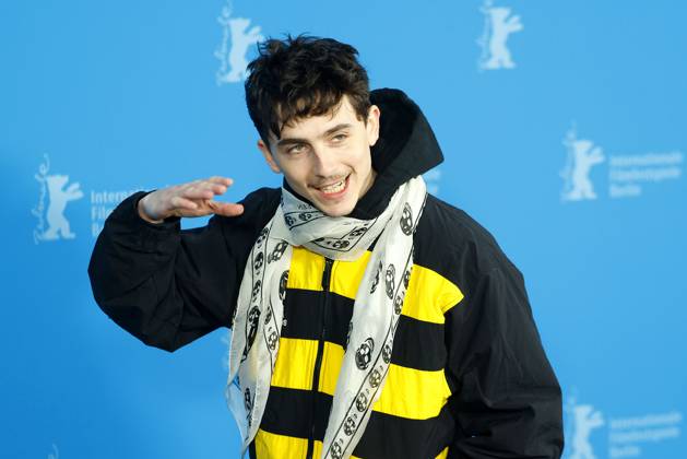 75th Berlinale, A Complete Unknown Photocall