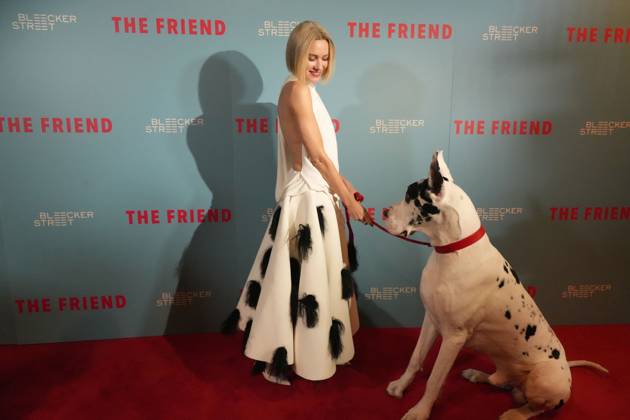 The Friend premiere in New York