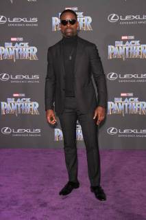 Black Panther Premiere in Los Angeles