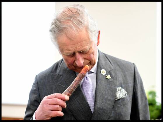 Prince Charles visits Lincolnshire