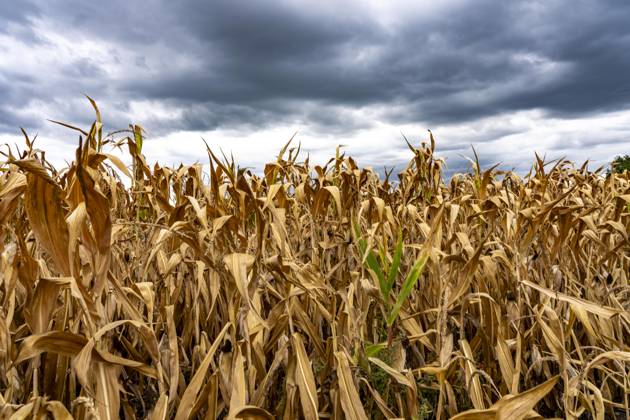 Extreme weather events cost EU countries 126 billion euros, archive images