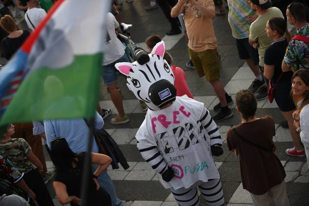 Ungarn, Minister kündigt Untersuchung an: Zebras auf Grundstück von Orbans Familie