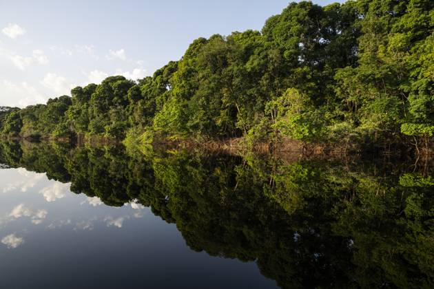 Abholzung im Amazonas ist 2025 zurückgegangen, Archivbilder