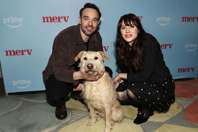 Merv Screening in New York