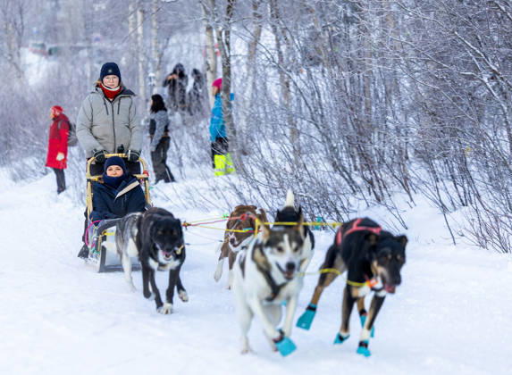 Royals, Prinzessin Ingrid Alexandra bei Hundeschlittenfahrt in Kirkenes