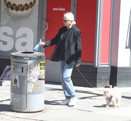 Celebrity, Ellen Barkin on the road in New York