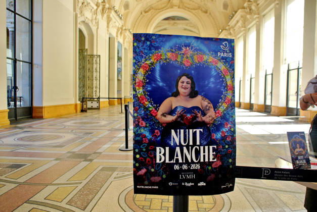 Arts, Nuit Blanche at the Petit Palais in Paris