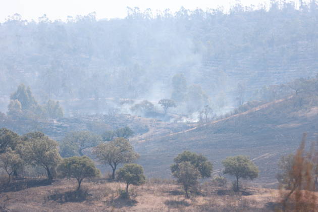 Spain, forest fire in the province of Huelva