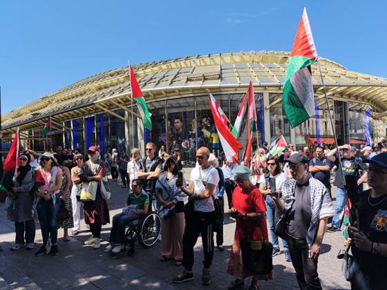 France, Pro-Palestinian demonstration in Paris