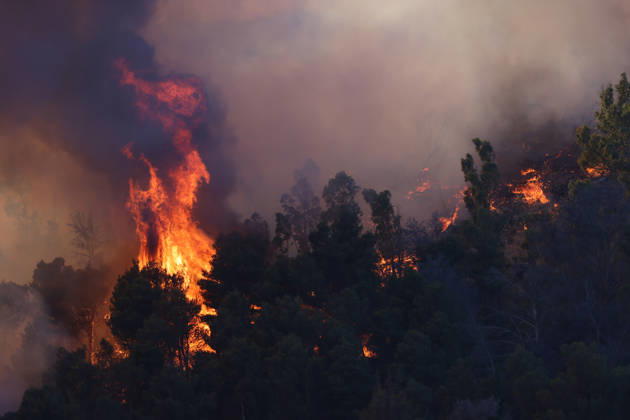 Italy, forest fire in Sicily