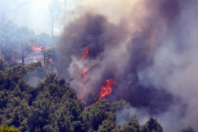 Italien, Waldbrand in Salemi