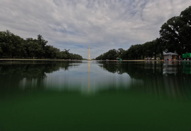 Washington: Lincoln Memorial Reflecting Pool infested with algae following its redesign