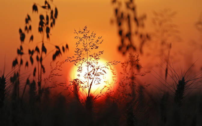 Sunset in Hesse