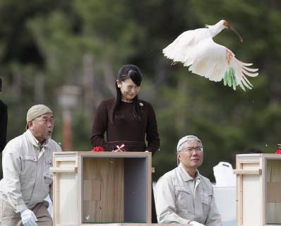Sado, Princess Mako releases an Ibis during a ceremony.