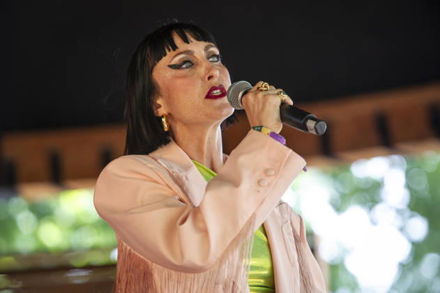 Musik, BST Hyde Park Festival in London, Wendy Bevan