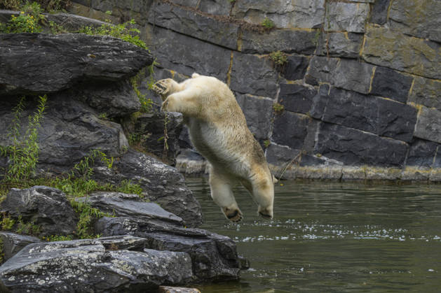 Entertainment: Pictures of the Day