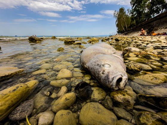 News: Pictures of the Day