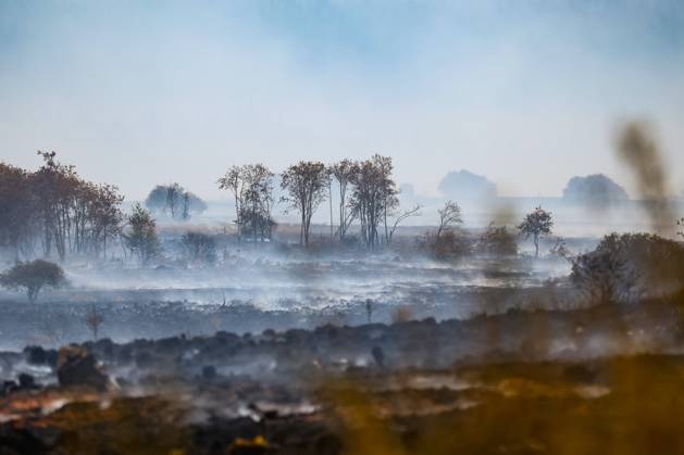 Belgien, Waldbrände im Hohen Venn