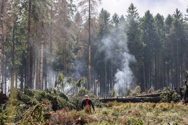 Belgien, Waldbrände im Hohen Venn