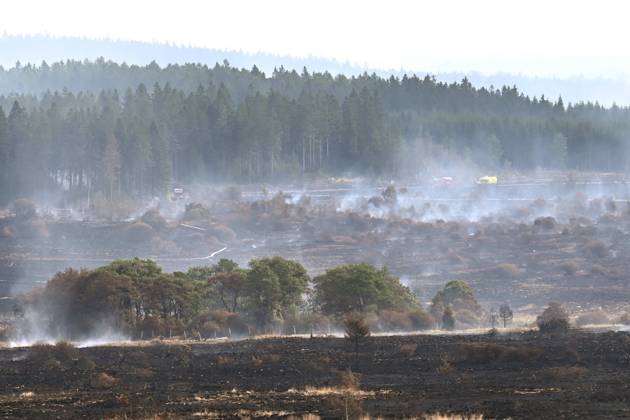 Belgien, Waldbrände im Hohen Venn