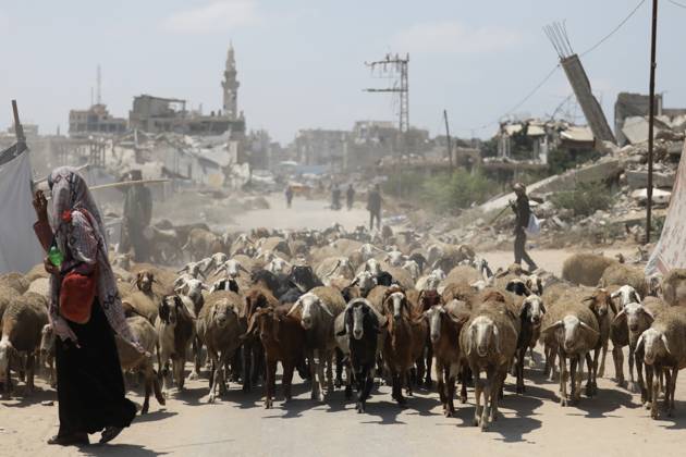 Nahostkonflikt, Gaza: Kriegsfolgen in Wohngebieten von al-Mughraqa