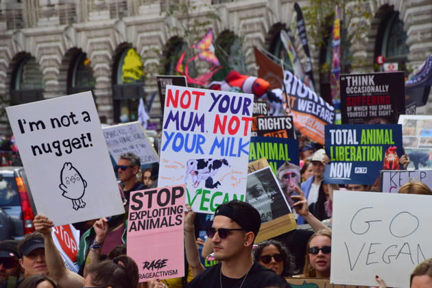 Großbritannien, National Animal Rights March in London