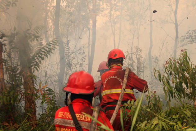 Indonesia, fire-fighting operations in South Sumatra, Pamulutan, Ogan Ilir