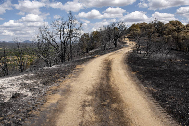 Spanien, Schäden durch Waldbrände in der Region Madrid