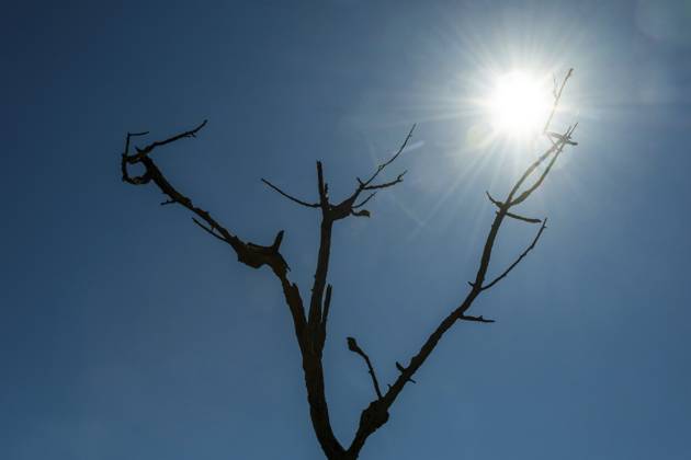 According to the UN, the Earth is heading for a 2.8-degree rise in temperature; archive images