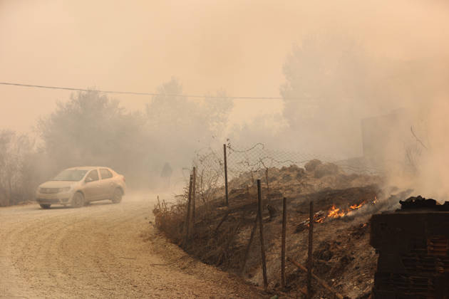 Algeria: Wildfires in Jijel and Bedjaia
