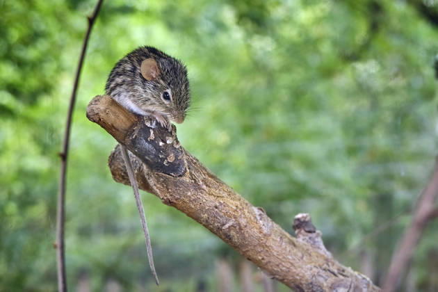 Thuringia: Impressions from Eisenberg Zoo